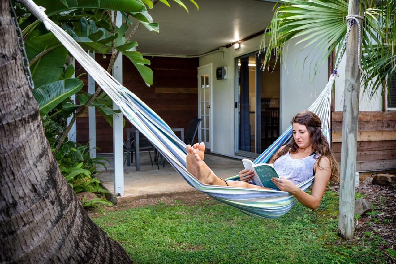 Bush Village Holiday Cabins Airlie Beach Eksteriør billede